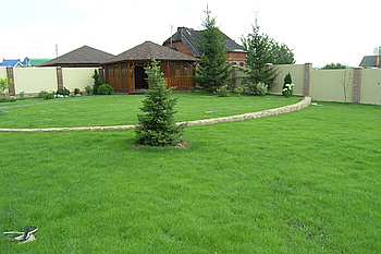 Уход и организация газонов