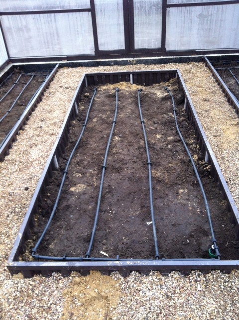 Капельный полив — технология будущего