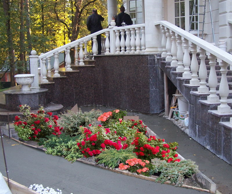 Ошибки в ландшафтном дизайне, которых стоит избегать